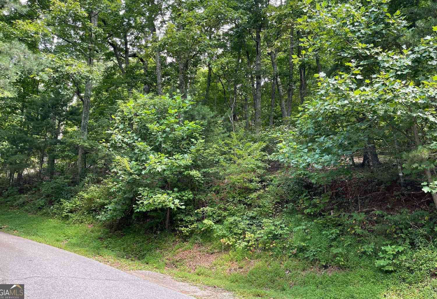 Vacant Land For Sale - #10 Mountain Drive North<br/> Hiawassee, GA 30546