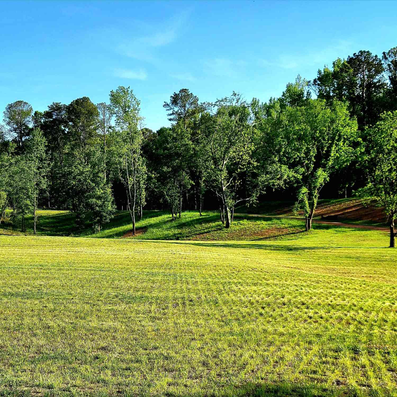 Vacant Land For Sale - 80 Mundy Road<br/> Rydal, GA 30171