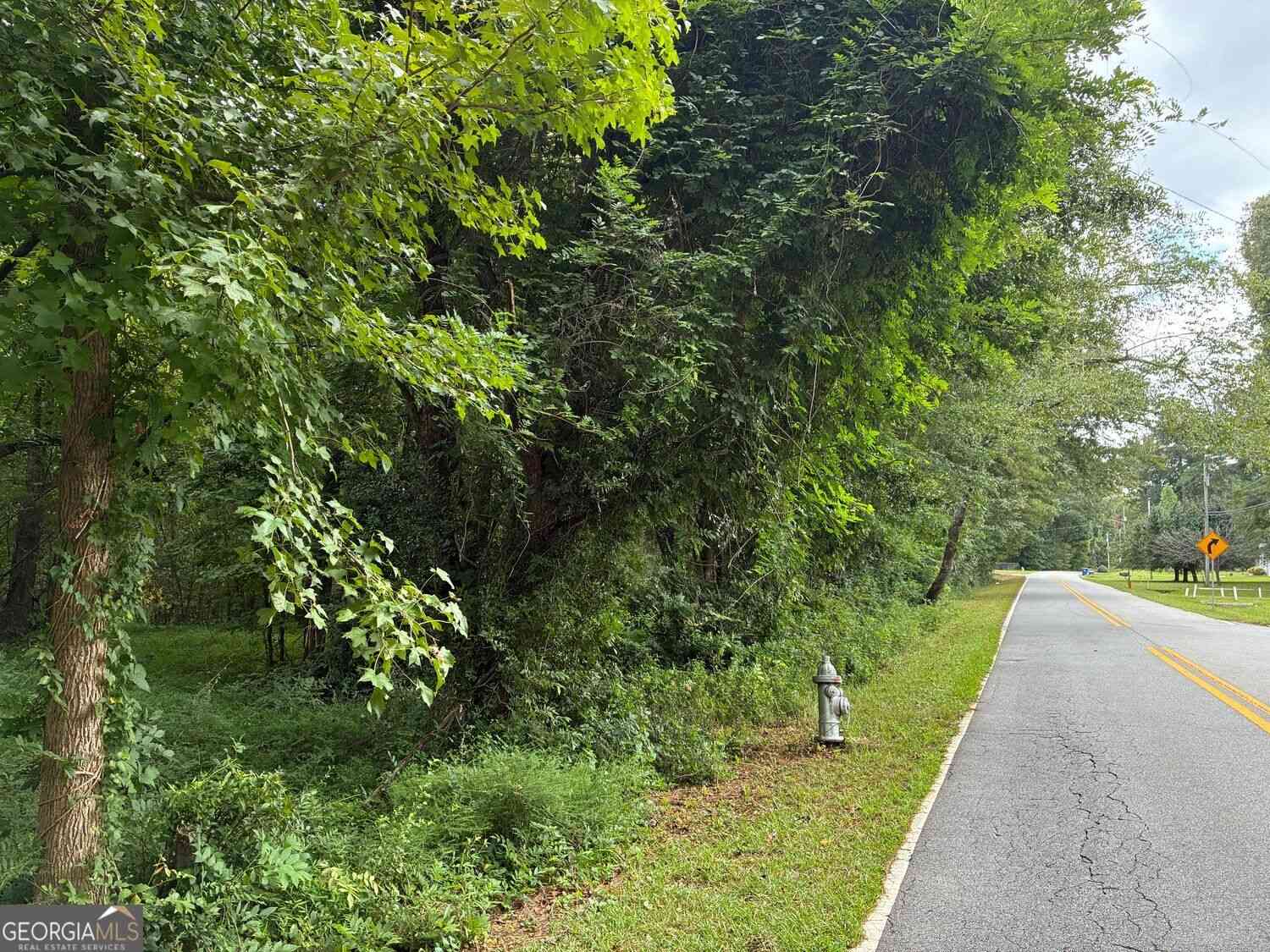 Vacant Land For Sale - 2943 Demooney Road<br/> South Fulton, GA 30349