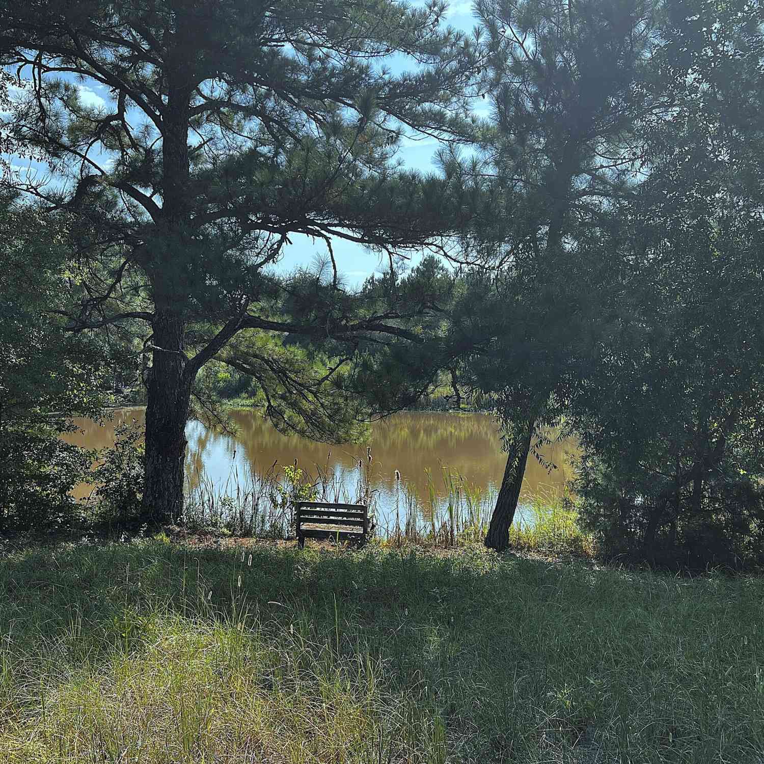 Vacant Land For Sale - 28 ACRES Hwy 36e<br/> Upson County, Thomaston, GA 30286