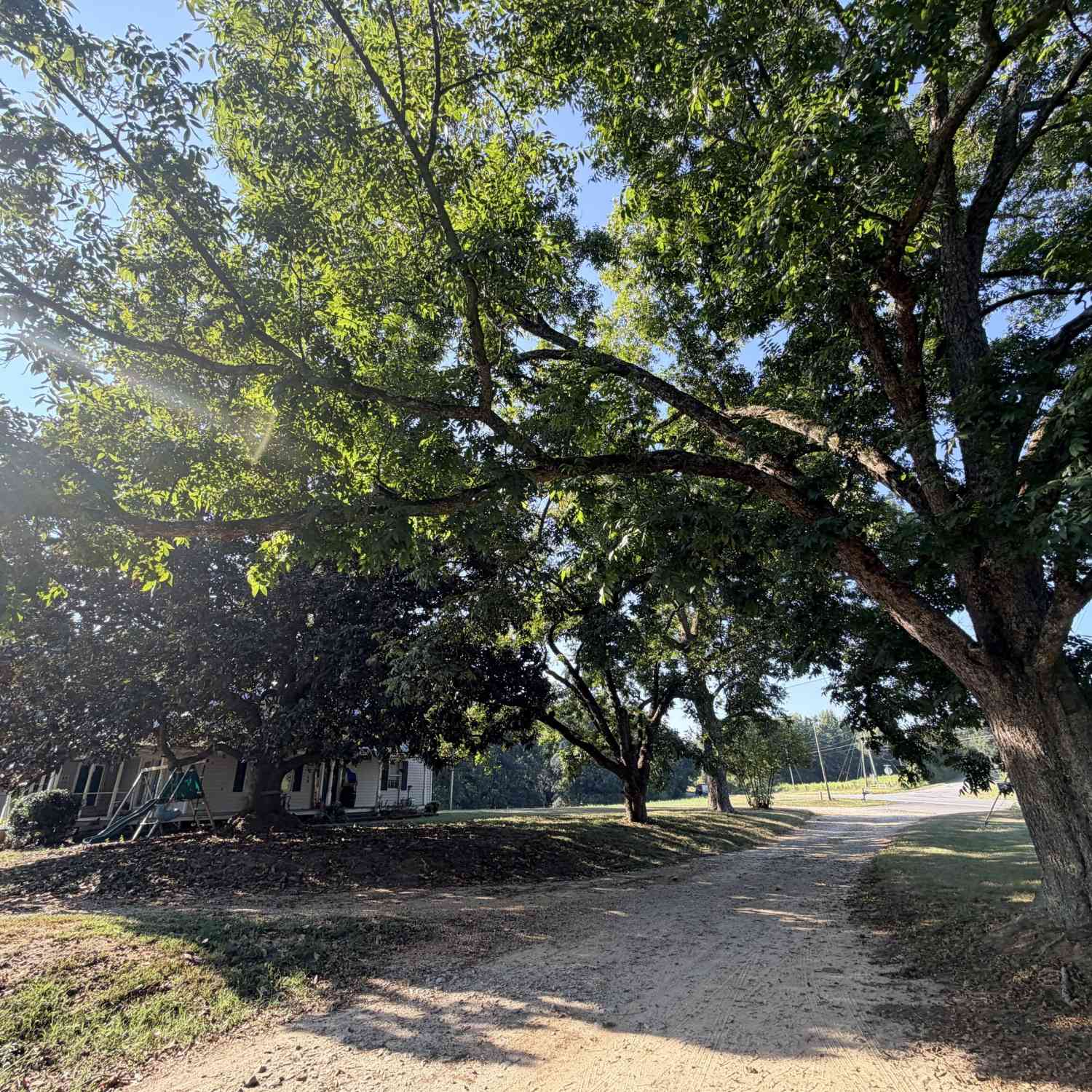 Vacant Land For Sale - 5587 Elberton Highway<br/> Hartwell, GA 30643