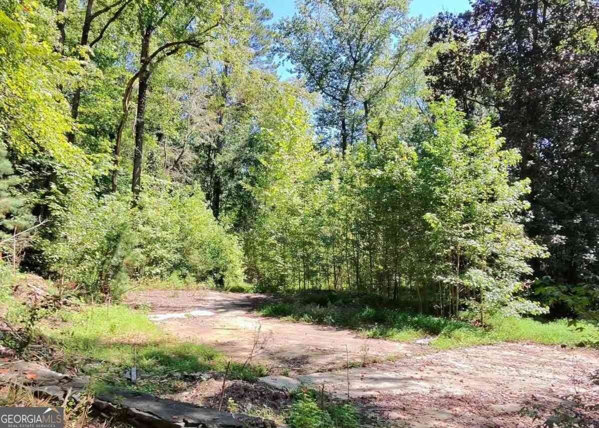 Vacant Land For Sale - 4824 Flakes Mill Road<br/> Ellenwood, GA 30294