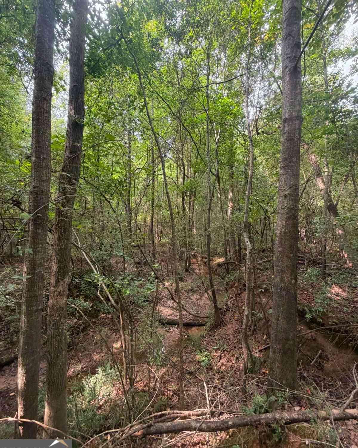Vacant Land For Sale - 822 Tabby Lane<br/> Athens, GA 30605