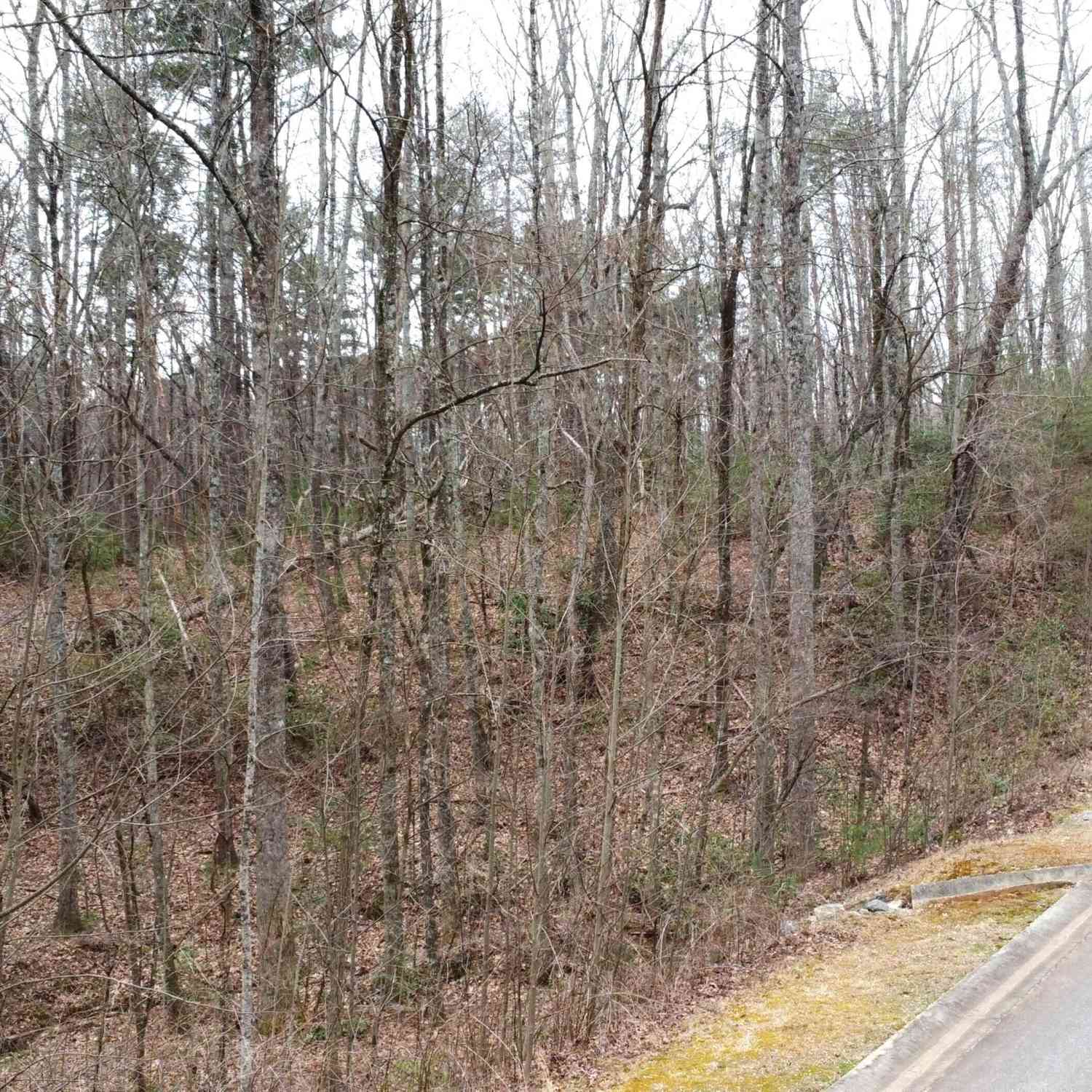 Vacant Land For Sale - LOT 1446 Glazenwood Drive<br/> Clarkesville, GA 30523