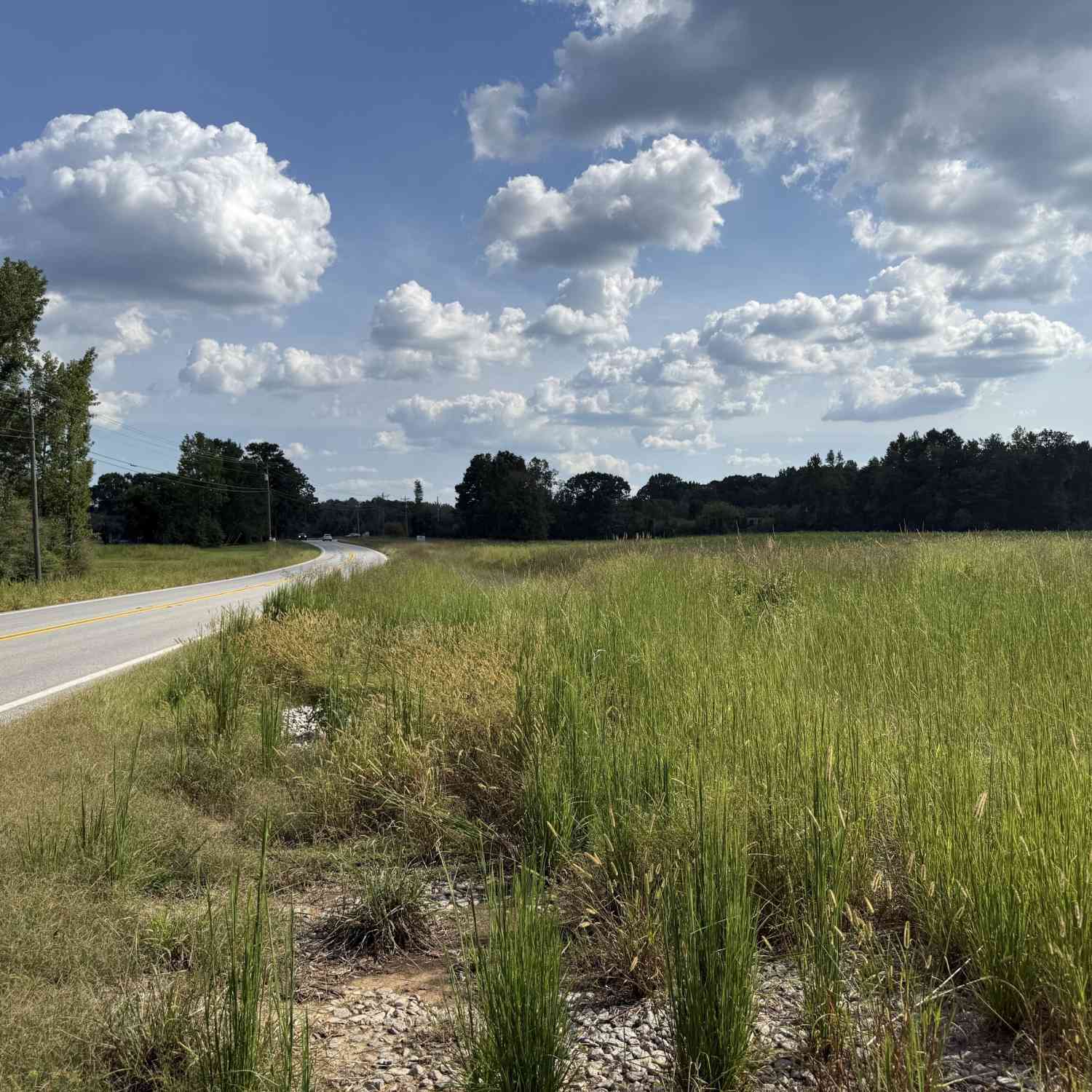 Vacant Land For Sale - Hwy 113<br/> Haralson County, Temple, GA 30179