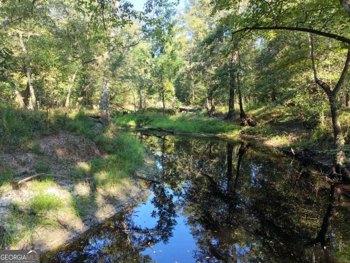 Vacant Land For Sale - 114 Riley Court<br/> Effingham County, Springfield, GA 31329
