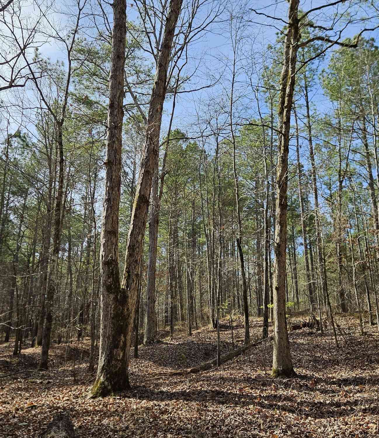 Vacant Land For Sale - 1121 Apalachee Meadows Drive<br/> Madison, GA 30650