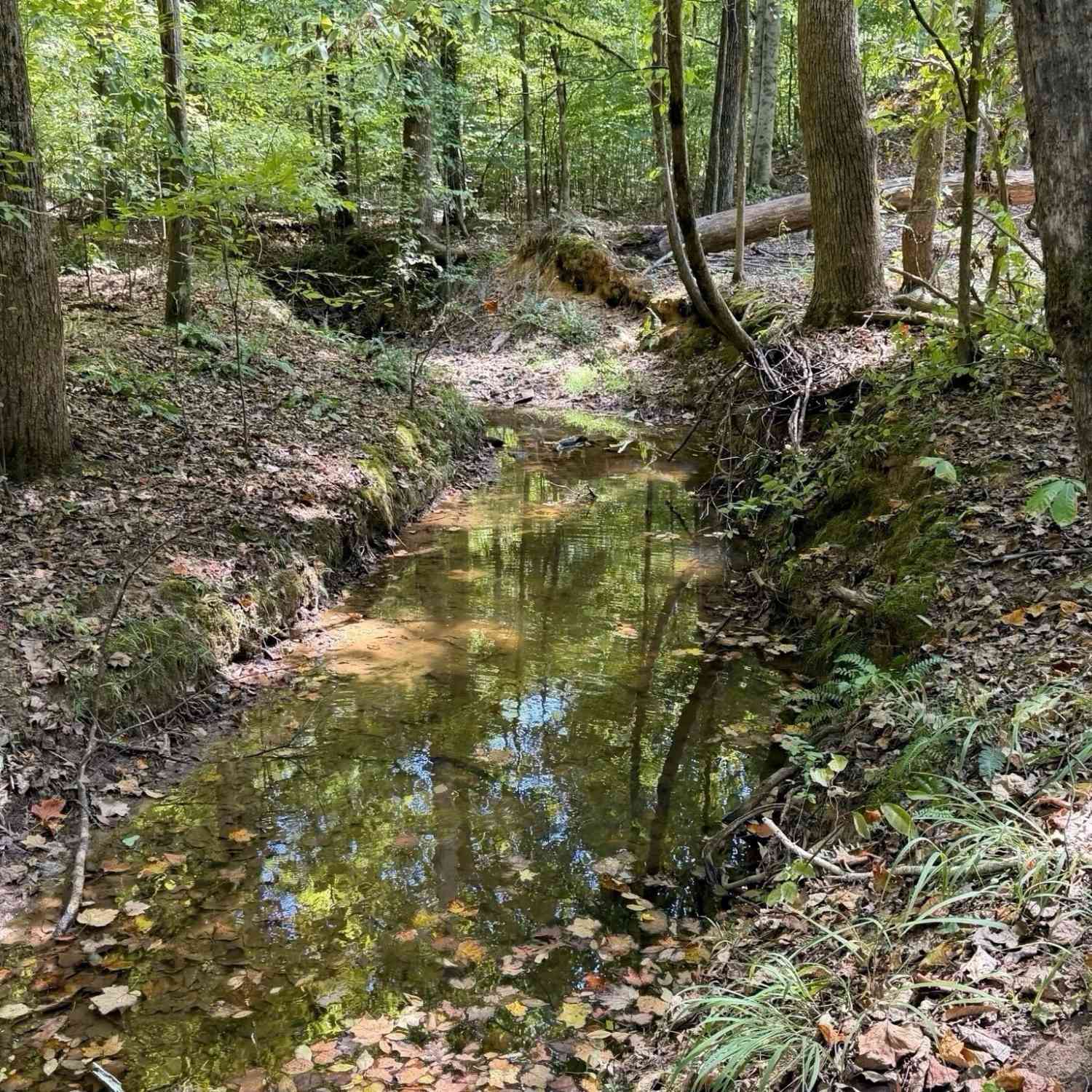 Vacant Land For Sale - 11 Bunch Road<br/> Tignall, GA 30668