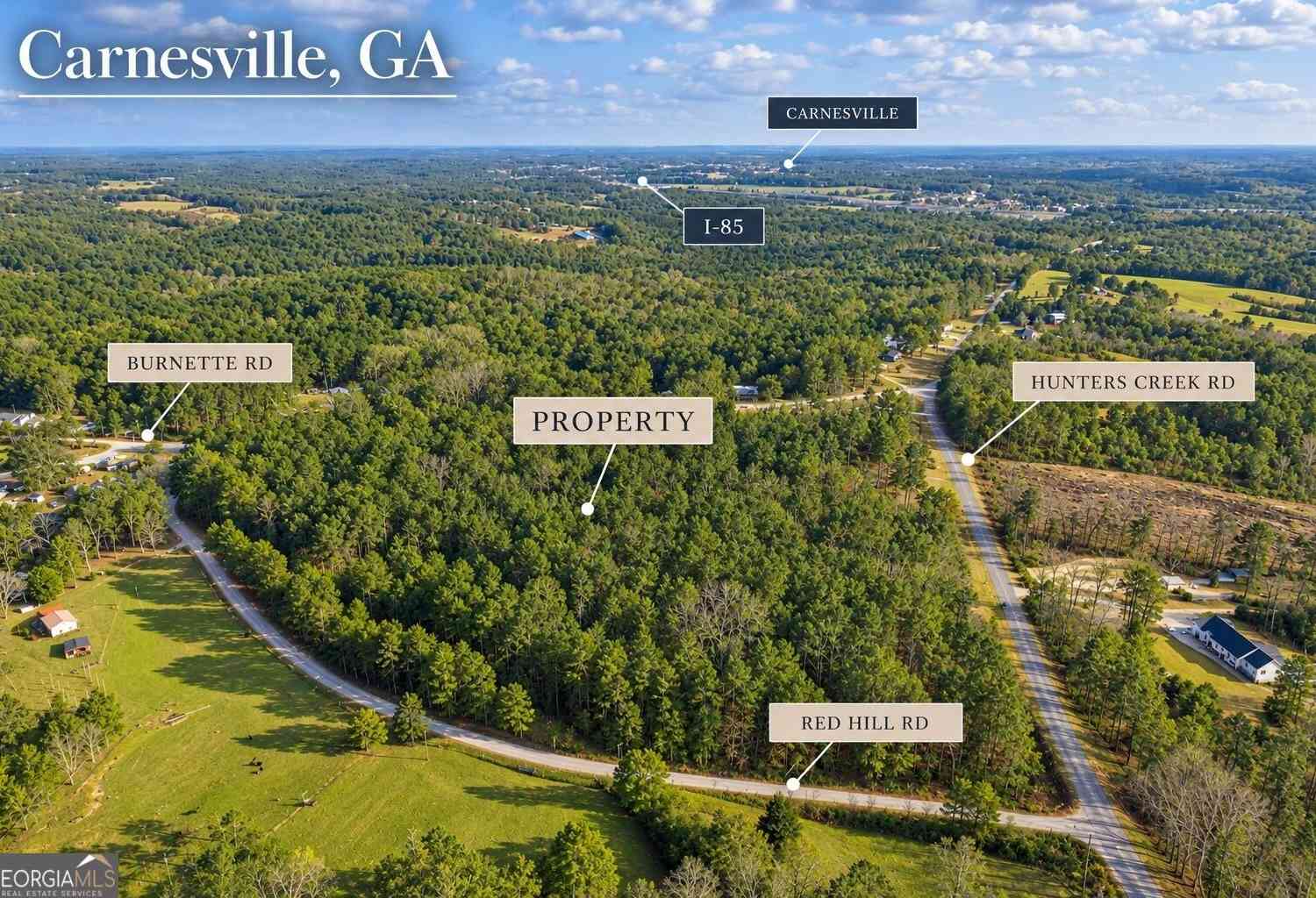Vacant Land For Sale - 2122 Hunters Creek Road<br/> Franklin County, Carnesville, GA 30521