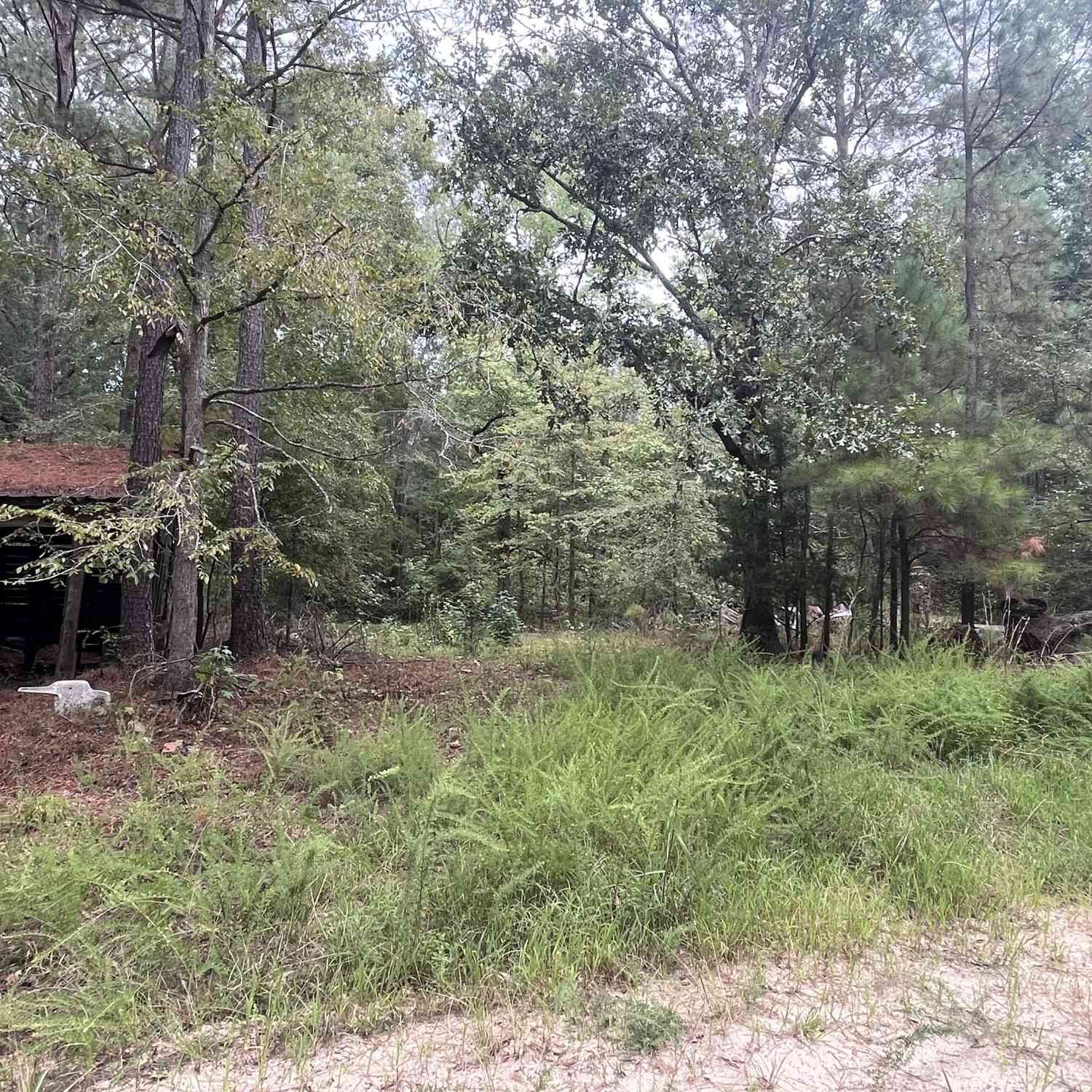 Vacant Land For Sale - Vinson Road<br/> Wilkes County, Tignall, GA 30668