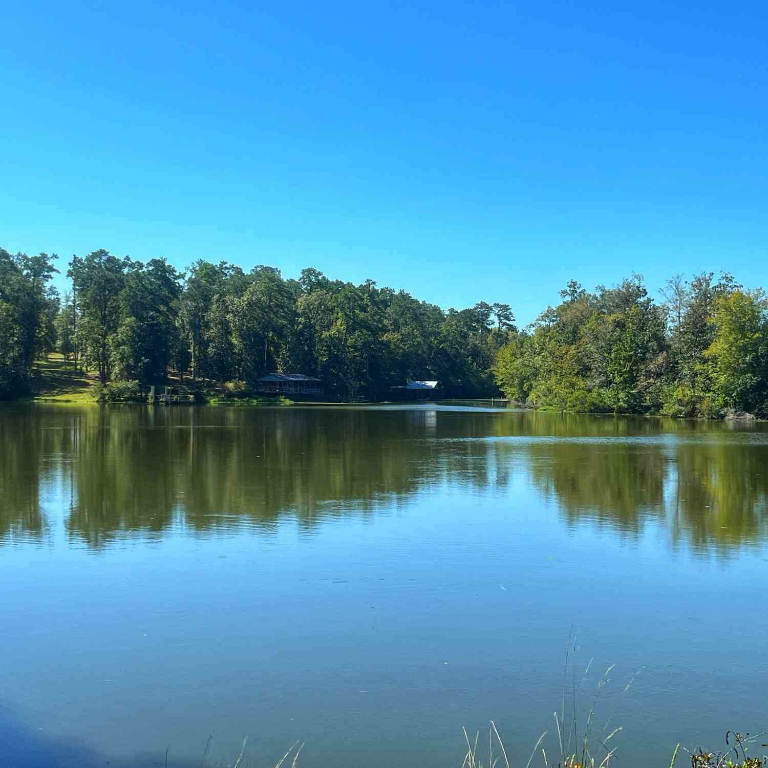 Vacant Land For Sale - 490 Murray Road<br/> Bainbridge, GA 39819
