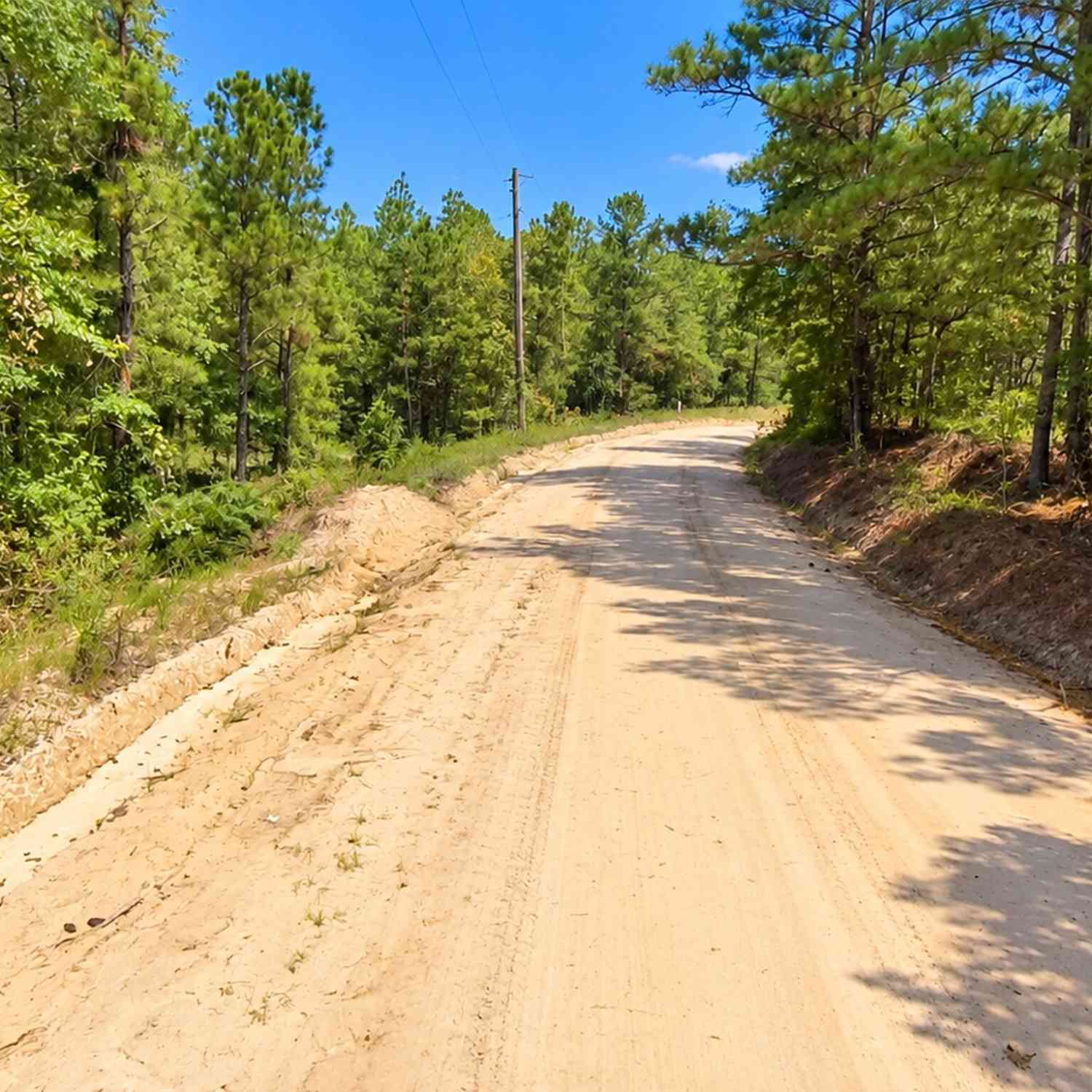 Vacant Land For Sale - 7.86 ACRES Gun Club Road<br/> Talbot County, Box Springs, GA 31801
