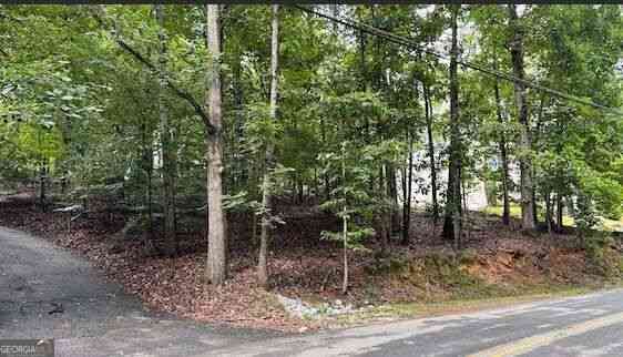 Vacant Land For Sale - 63 Lakeshore Drive<br/> Gwinnett County, Duluth, GA 30096