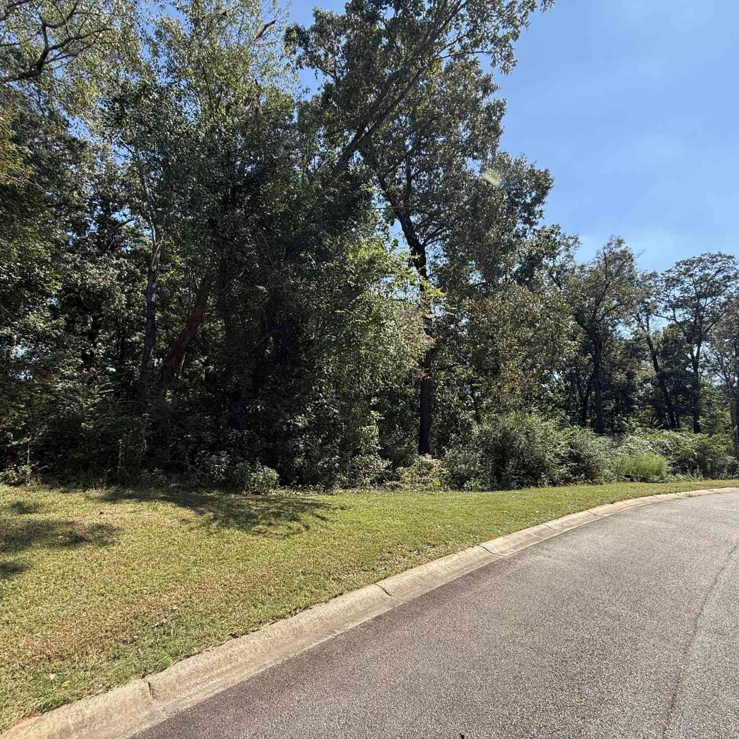 Vacant Land For Sale - Mountain Vista<br/> Clarkesville, GA 30523