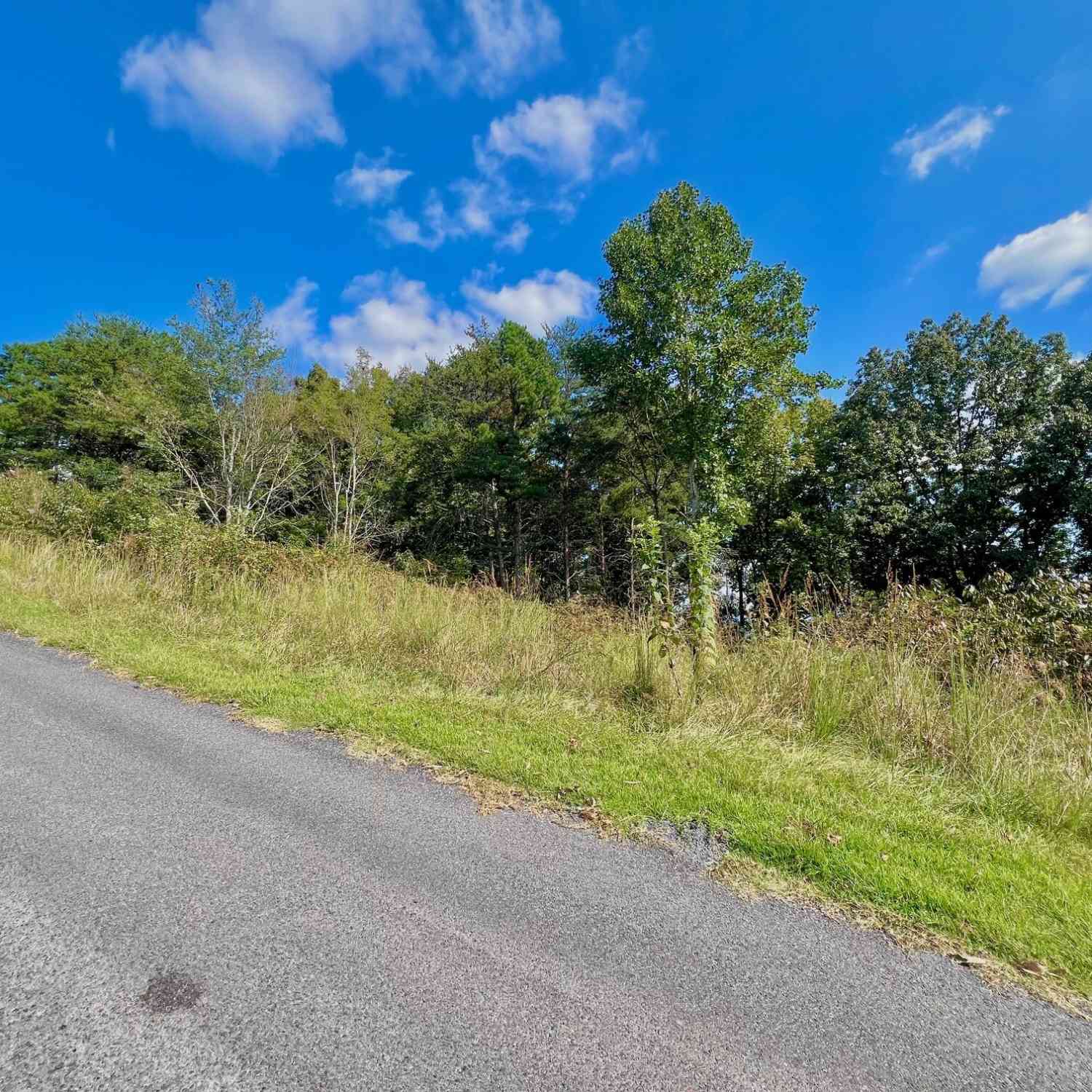 Vacant Land For Sale - T7 Talona Mountain Road<br/> Ellijay, GA 30536