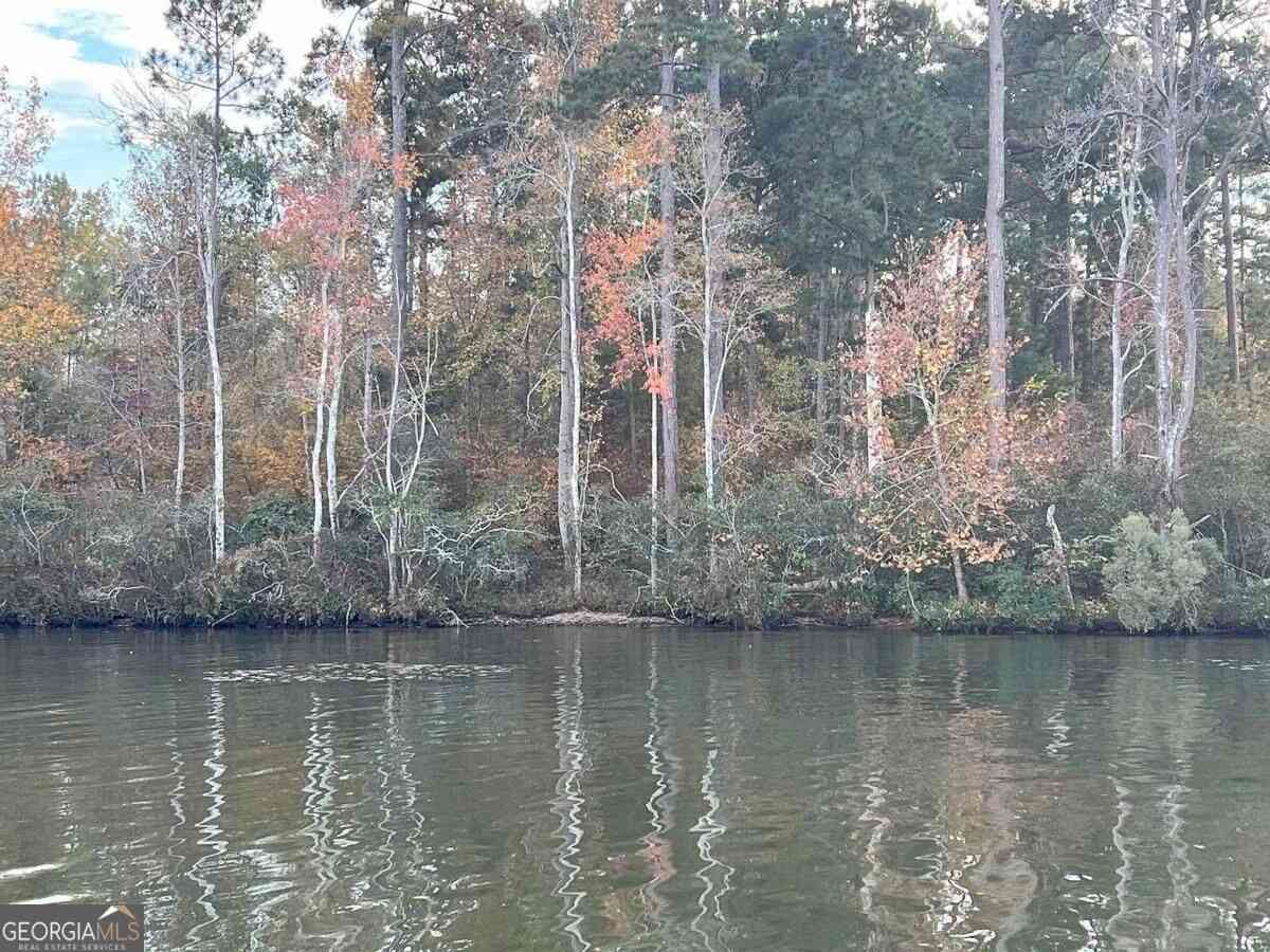 Vacant Land For Sale - LOT #67 Lake Crest<br/> Hancock County, Sparta, GA 31087