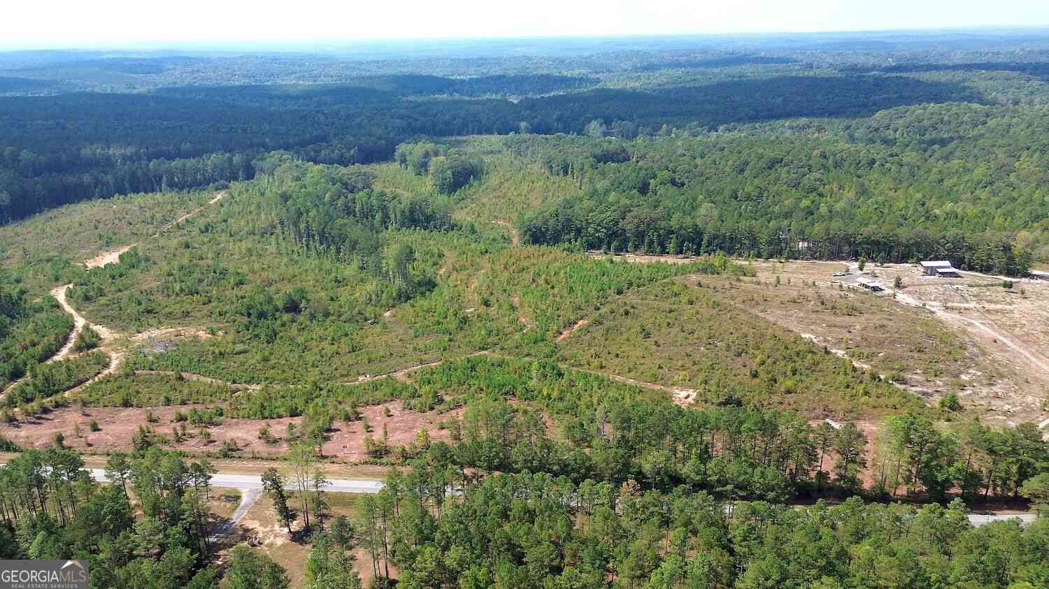 Vacant Land For Sale - Victory Road<br/> Heard County, Franklin, GA 30217