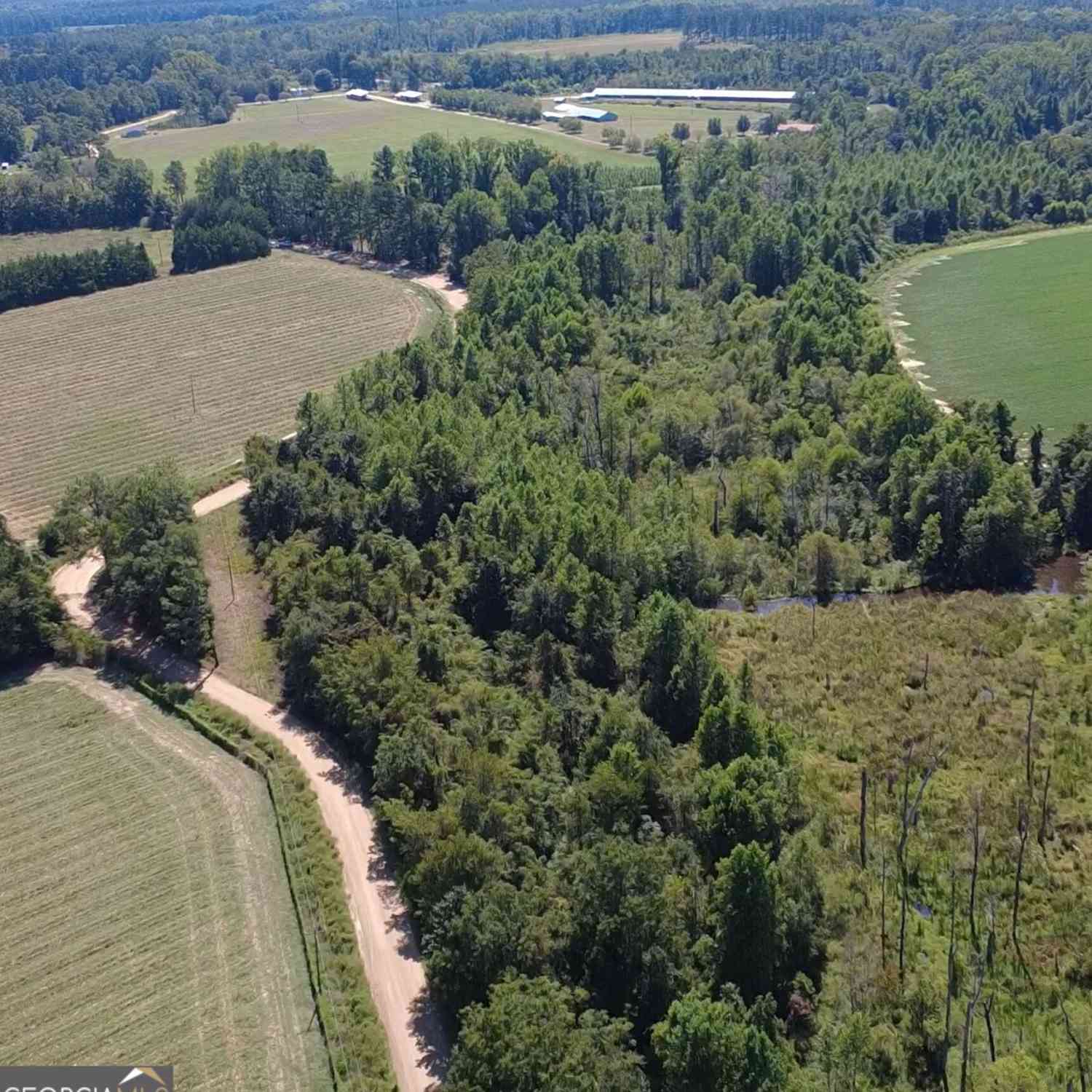 Vacant Land For Sale - Rommie Thompson Road<br/> Claxton, GA 30417