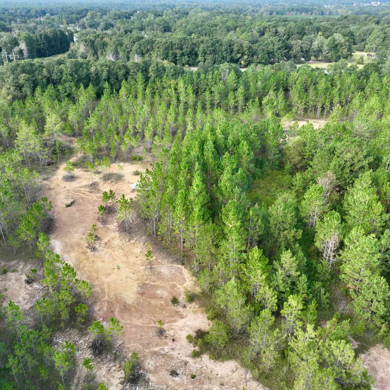 Vacant Land For Sale - Carol Drive<br/> Hawkinsville, GA 31036