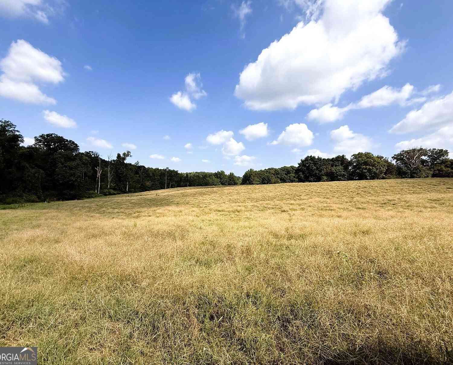Vacant Land For Sale - 2000 Sandy Cross Road<br/> Franklin County, Royston, GA 30662