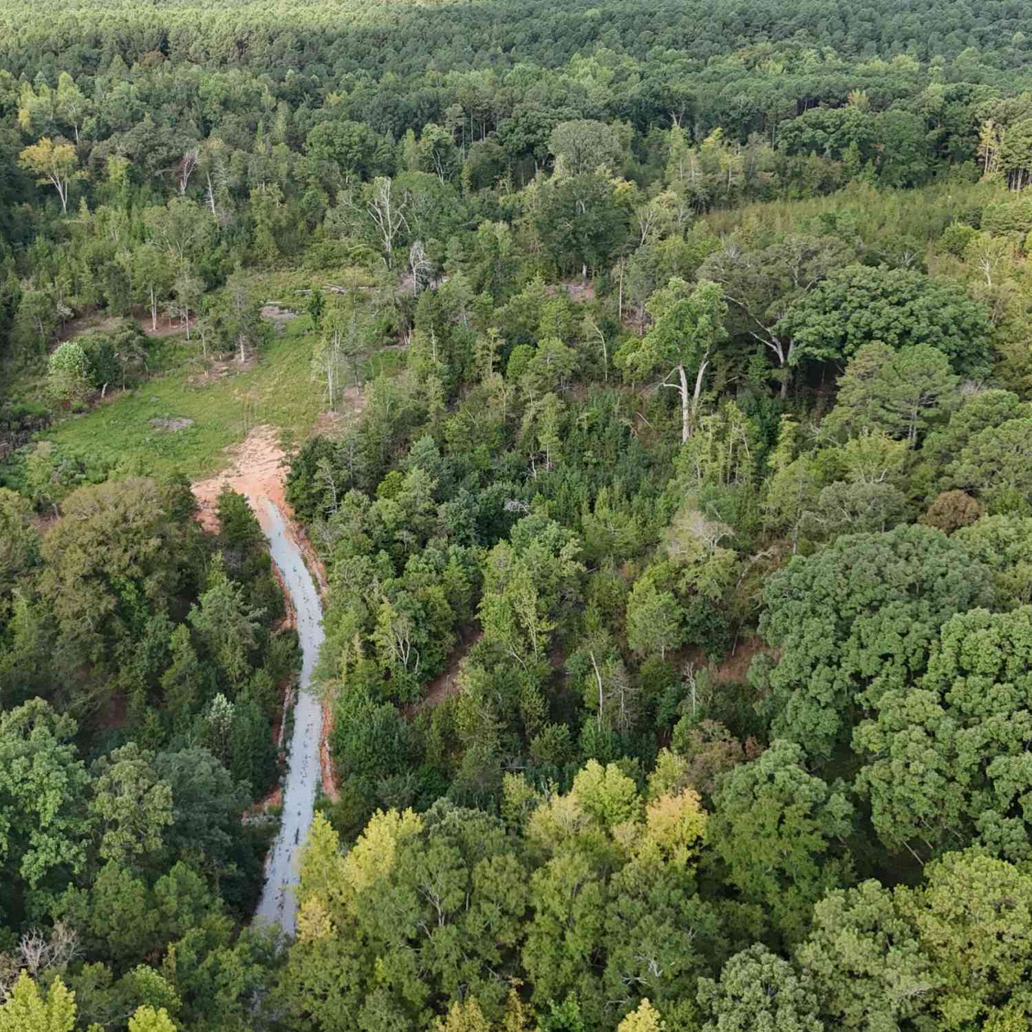 Vacant Land For Sale - 1637 G R Hayes Road<br/> Elbert County, Elberton, GA 30635