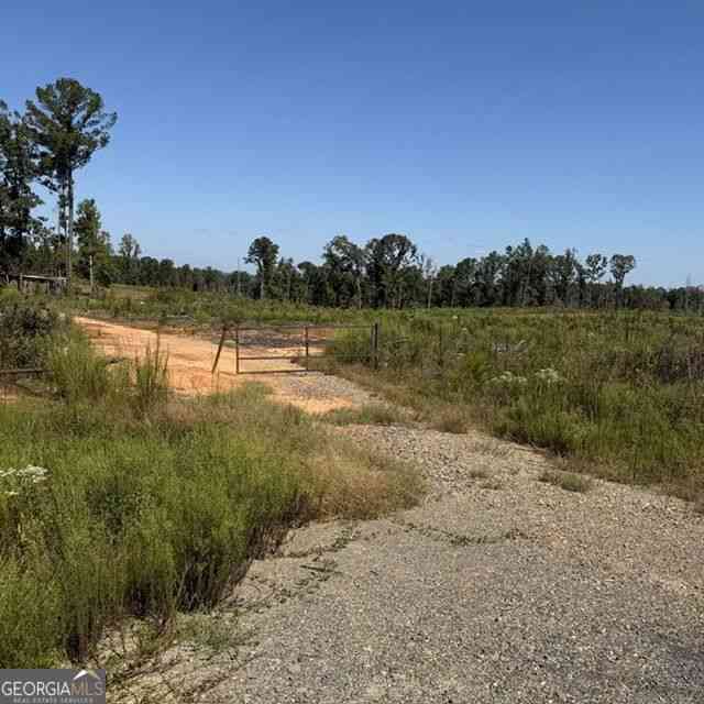 Vacant Land For Sale - 76 +/- ACRES ON Gibson Road<br/> Talbot County, Talbotton, GA 31827
