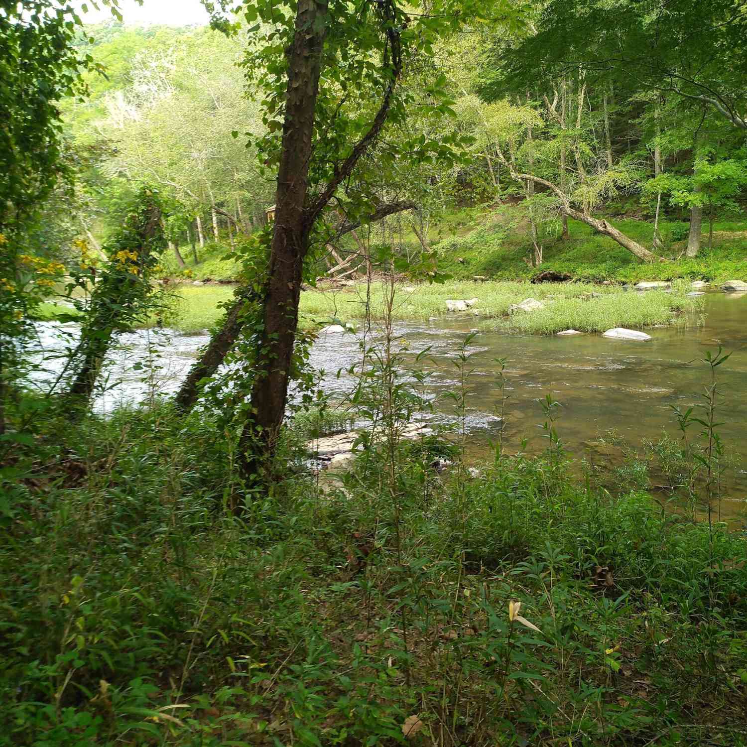 Vacant Land For Sale - Marie #LOT 1800<br/> Gilmer County, Talking Rock, GA 30175