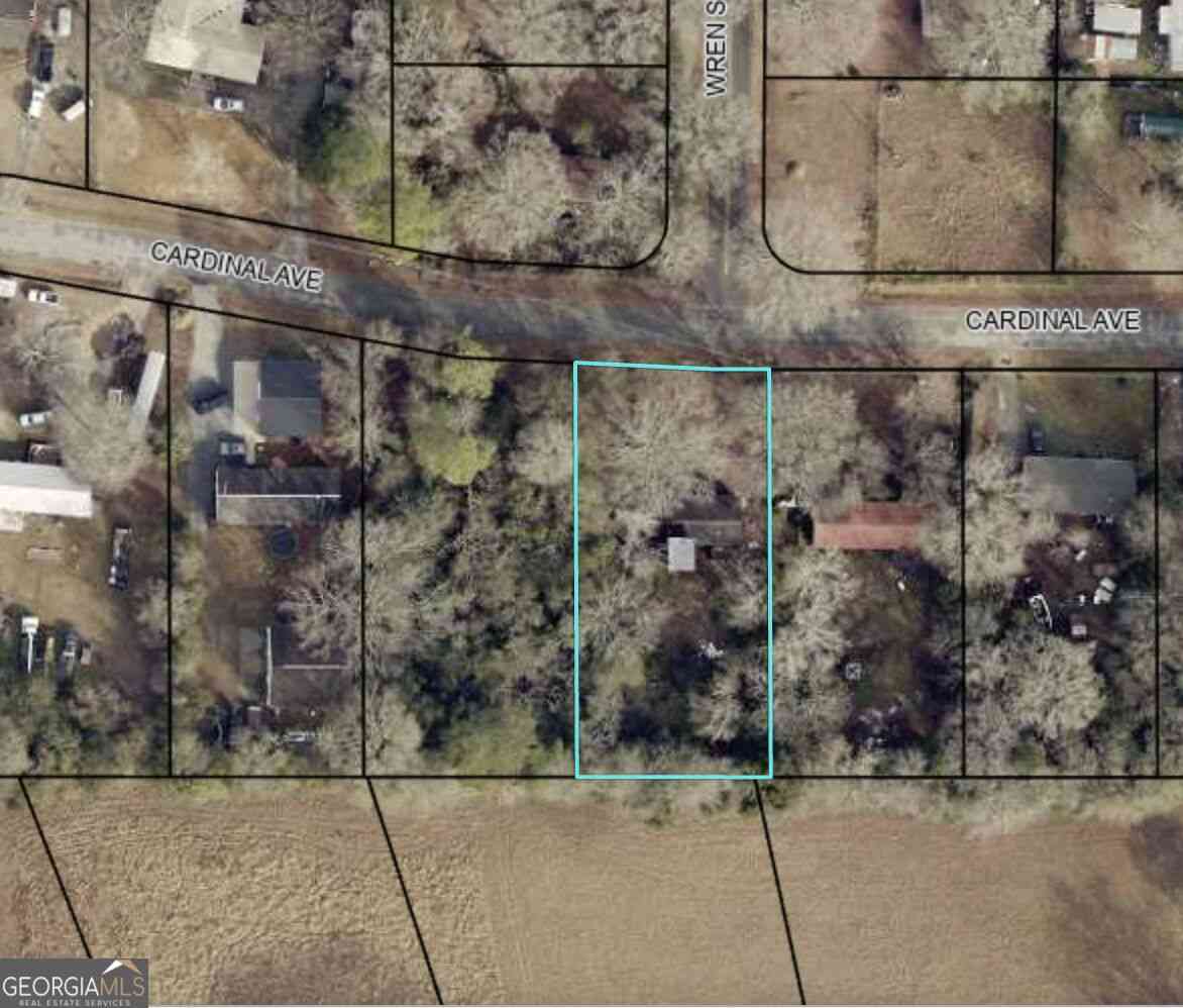 Vacant Land For Sale - 110 Cardinal Avenue<br/> Houston County, Perry, GA 31069