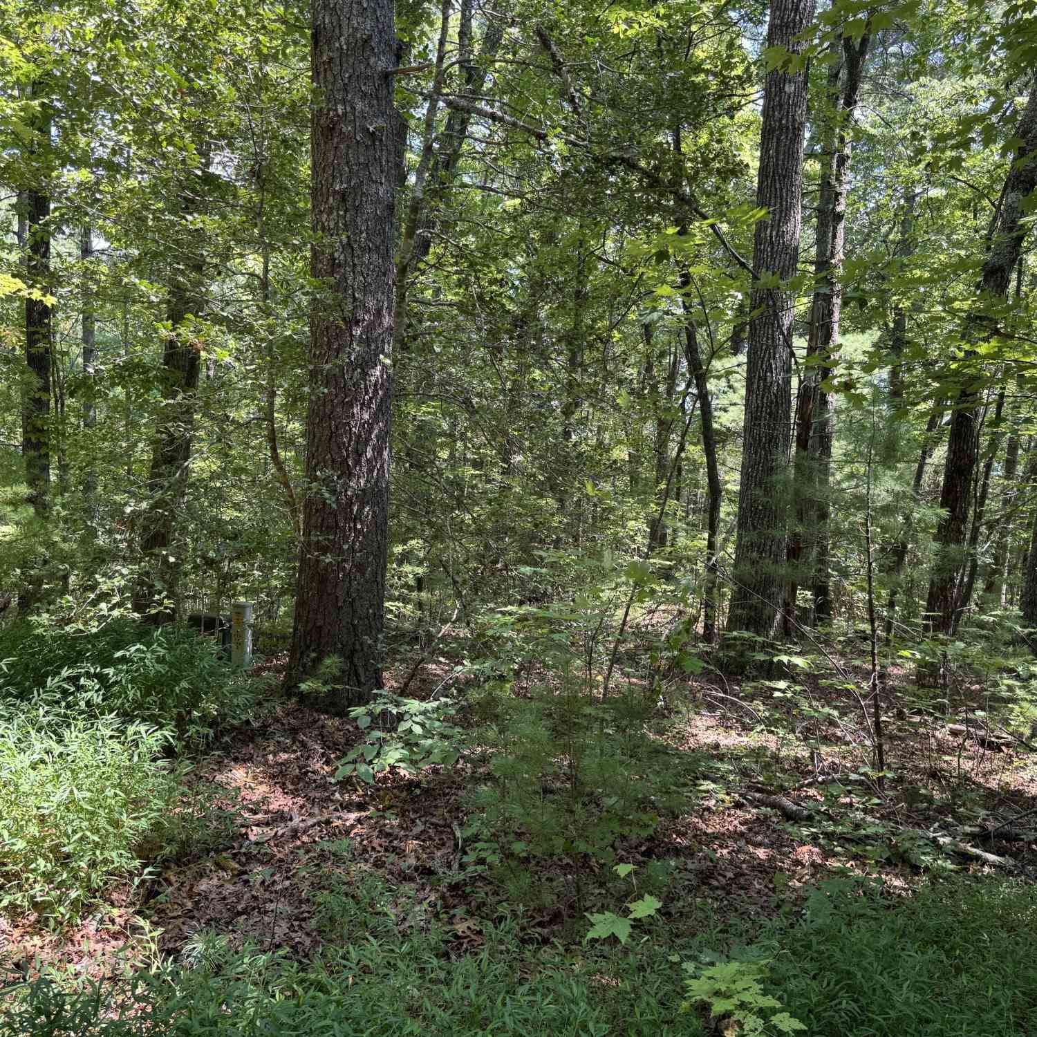 Vacant Land For Sale - Baylaurel Drive<br/> White County, Helen, GA 30545