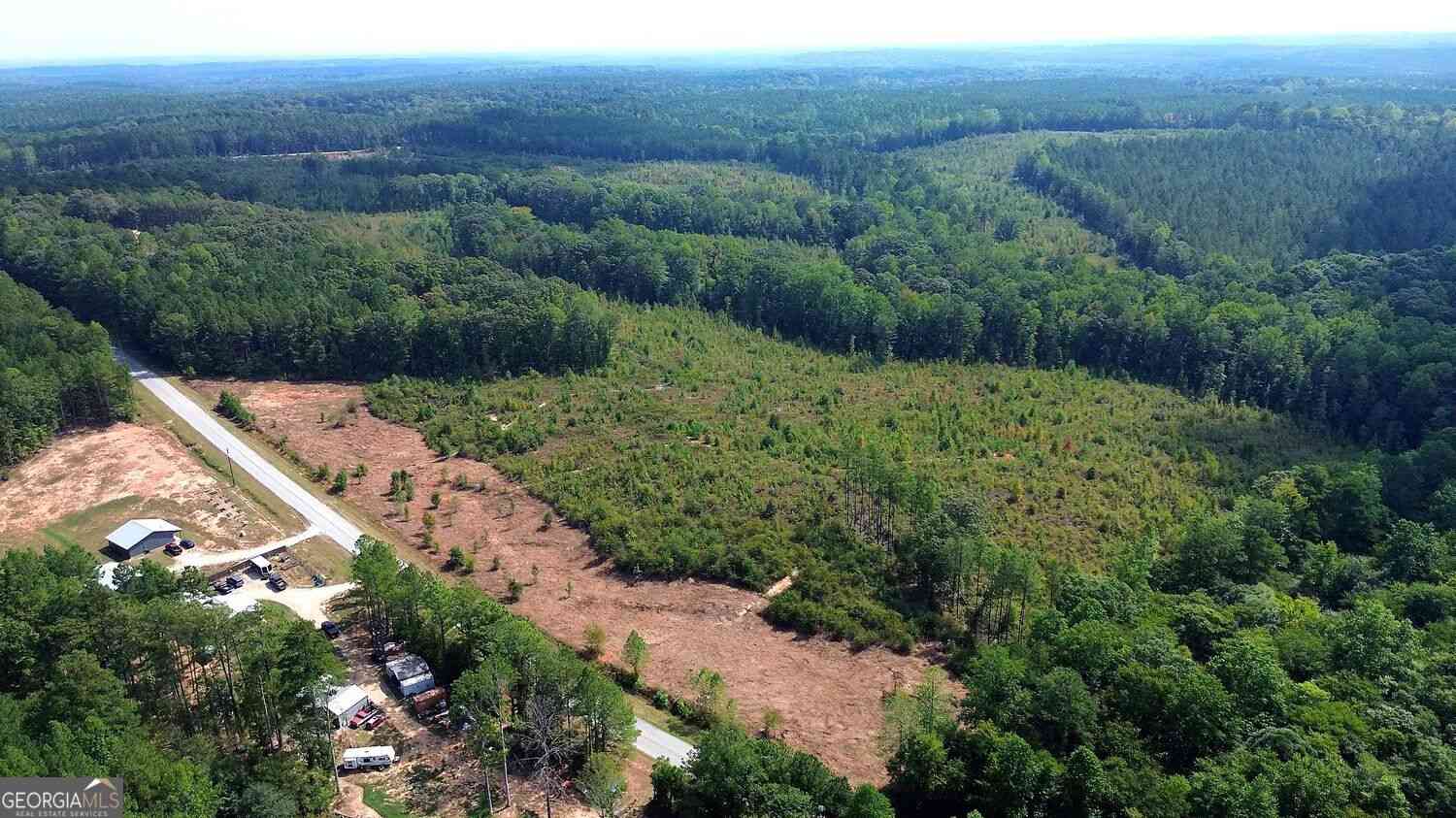 Vacant Land For Sale - Butler Road<br/> Heard County, Franklin, GA 30217