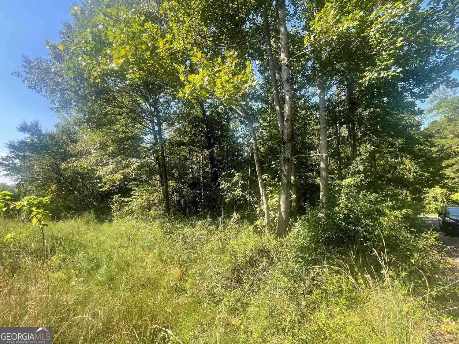 Vacant Land For Sale - Apache Trail<br/> Stephens County, Martin, GA 30557
