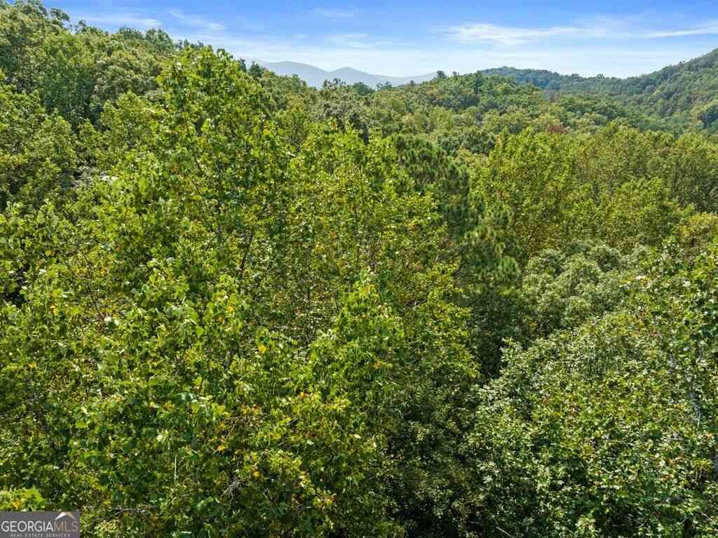 Vacant Land For Sale - 23 B Double Knob<br/> Gilmer County, Cherry Log, GA 30522