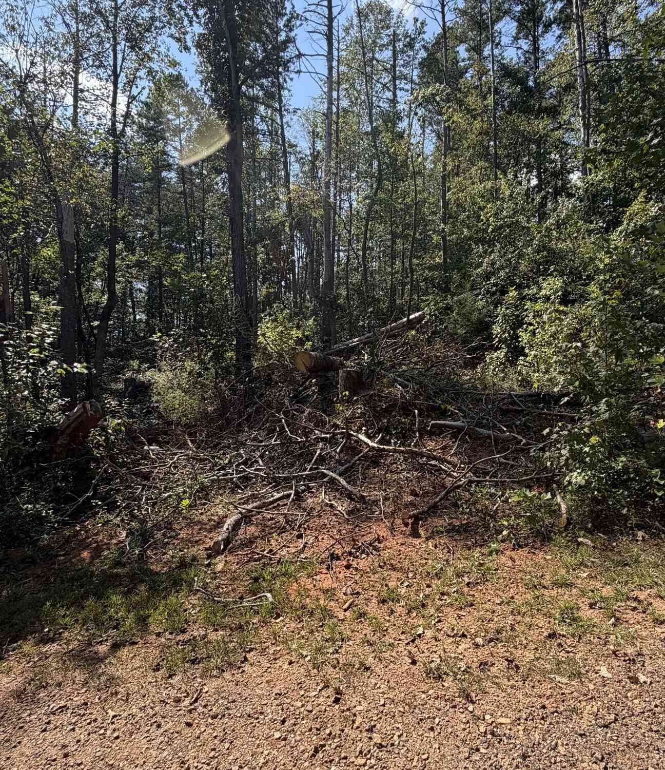 Vacant Land For Sale - 309 Seminole Trail<br/> Stephens County, Martin, GA 30557