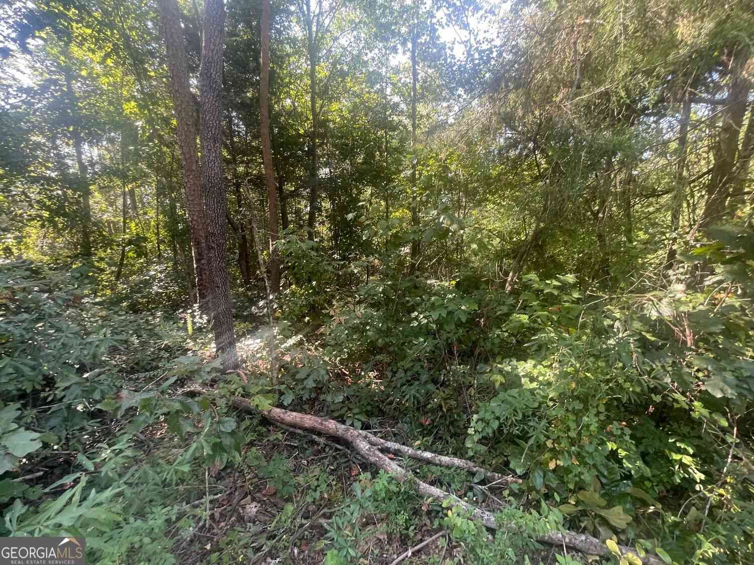 Vacant Land For Sale - 161 Apache Trail<br/> Stephens County, Martin, GA 30557