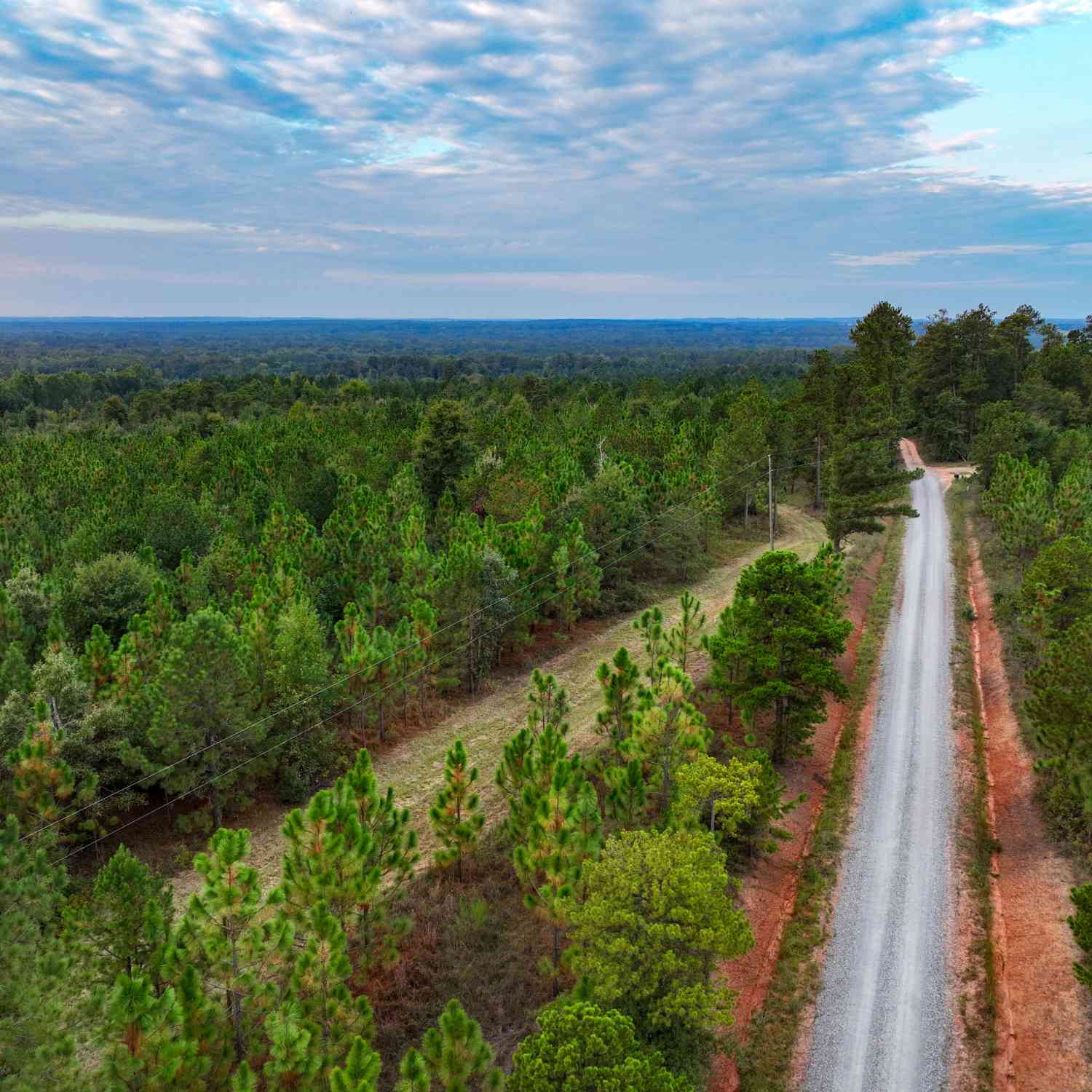 Vacant Land For Sale - Butler Road<br/> Milledgeville, GA 31061