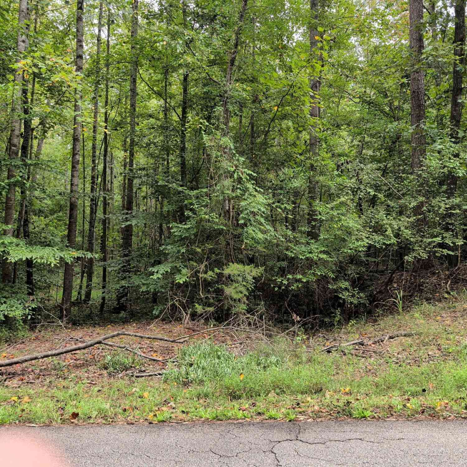 Vacant Land For Sale - 194 Tahoe Trail<br/> Stephens County, Martin, GA 30557