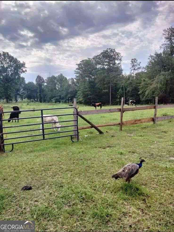 Vacant Land For Sale - Zenith Mill Road<br/> Roberta, GA 31078