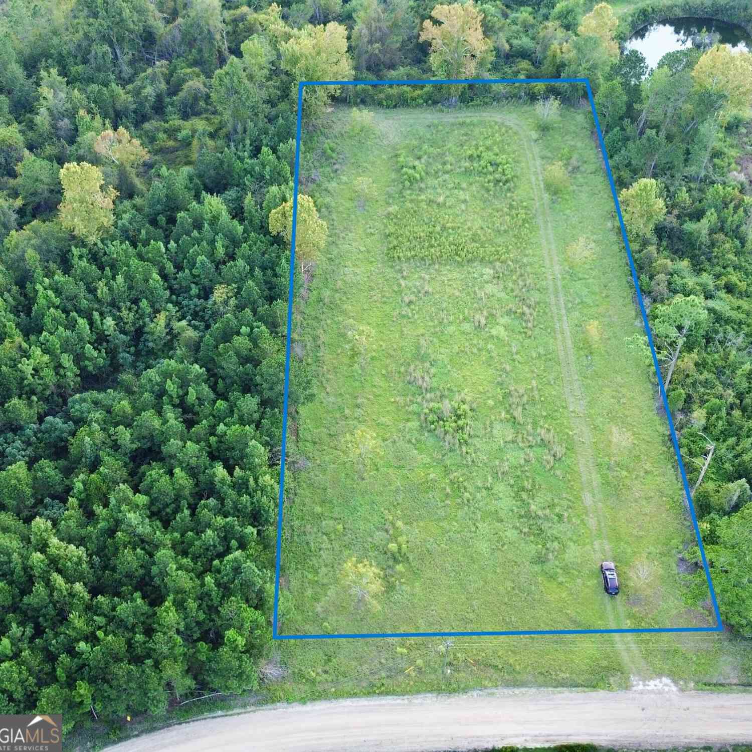 Vacant Land For Sale - Sunflower Lane<br/> Jeff Davis County, Hazlehurst, GA 31539