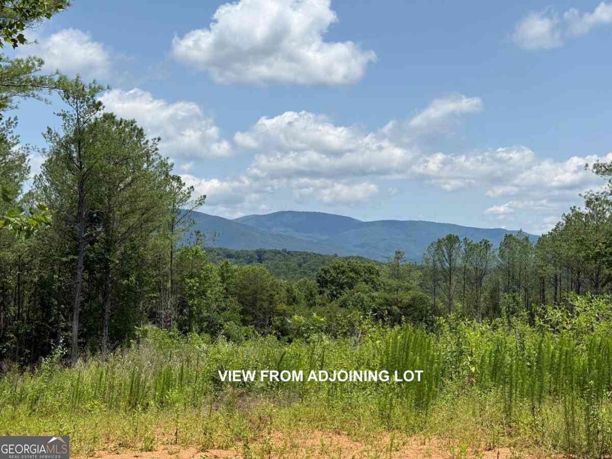 Vacant Land For Sale - LOT E9 Reece Mountain Road<br/> Gilmer County, Ellijay, GA 30536