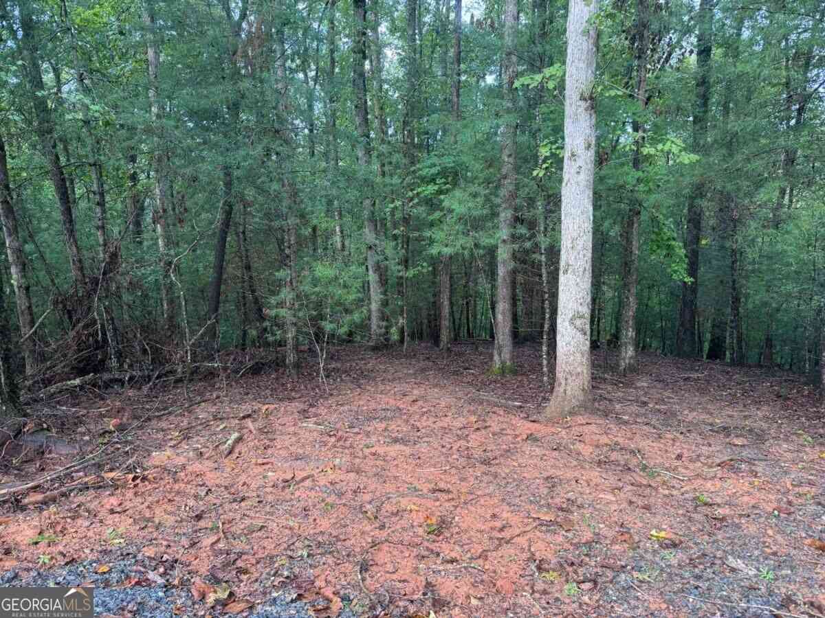 Vacant Land For Sale - 204 Hart Court<br/> Gilmer County, Ellijay, GA 30540