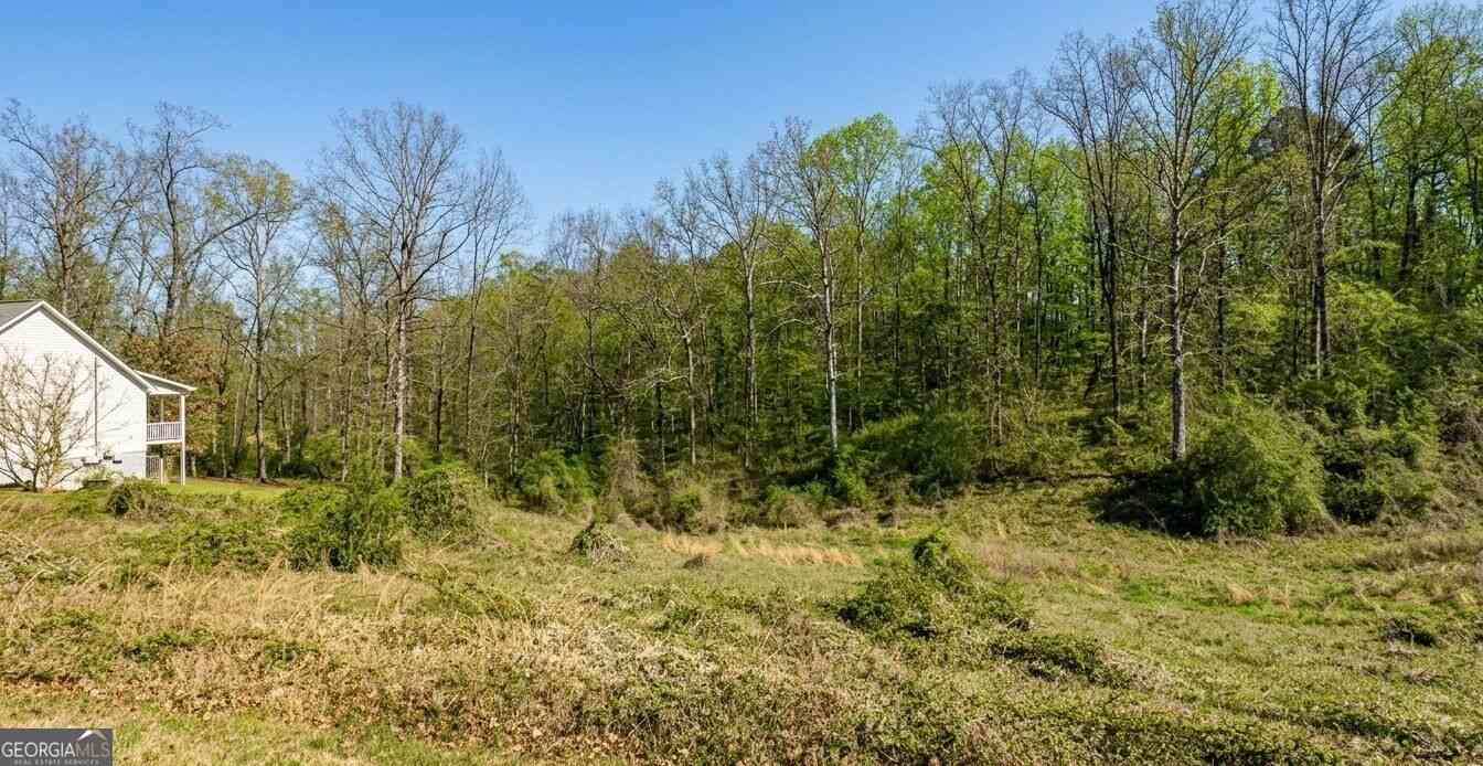 Vacant Land For Sale - Ember Lane<br/> Calhoun County, Ohatchee, AL 36271
