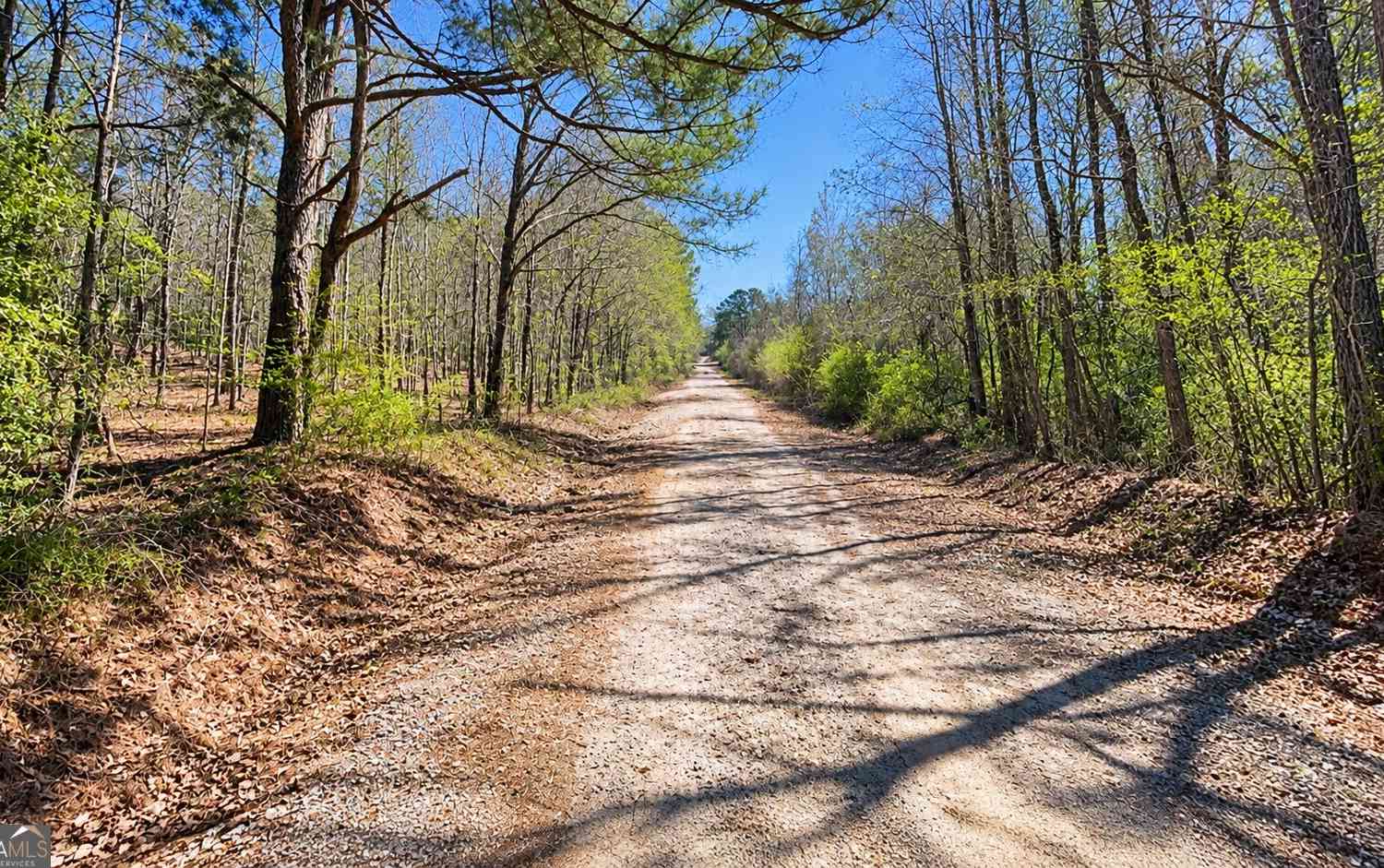 Vacant Land For Sale - Tiggs Road<br/> Meriwether County, Greenville, GA 30222