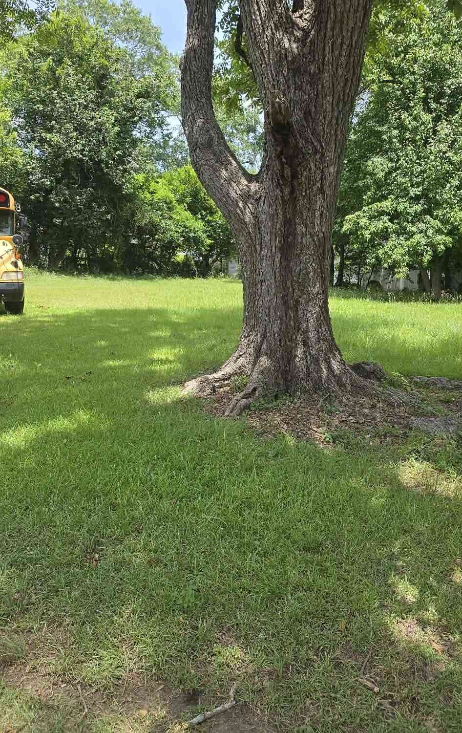 Vacant Land For Sale - Pineknot<br/> Ashburn, GA 31714