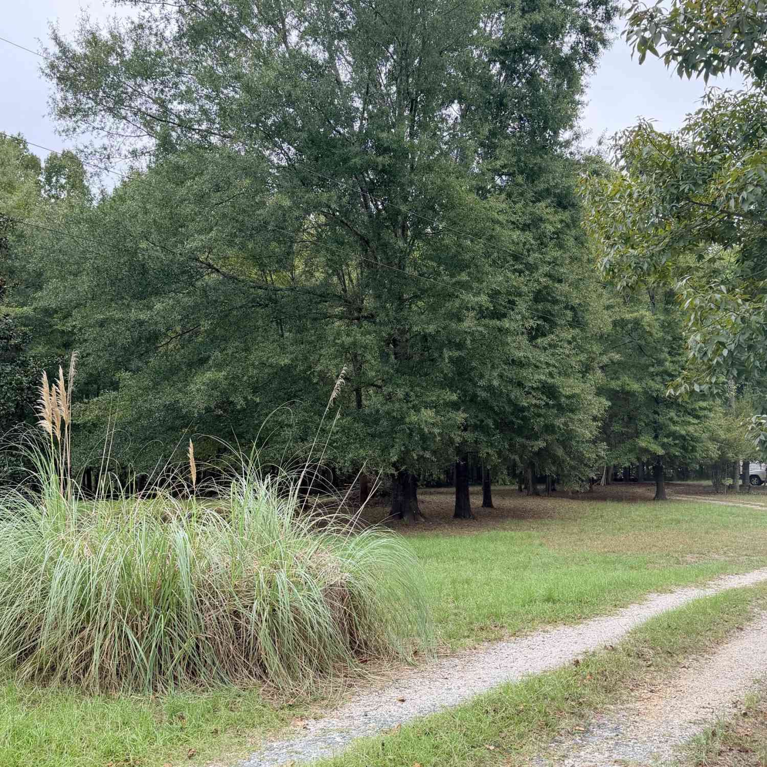 Vacant Land For Sale - 664 Unionville Road<br/> Monroe County, Barnesville, GA 30204