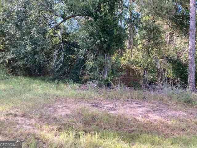 Vacant Land For Sale - 6965 Jim Pruett Road<br/> Eastman, GA 31023