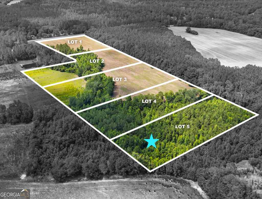 Vacant Land For Sale - Fabled Lane #LOT 5<br/> Bulloch County, Pembroke, GA 31321