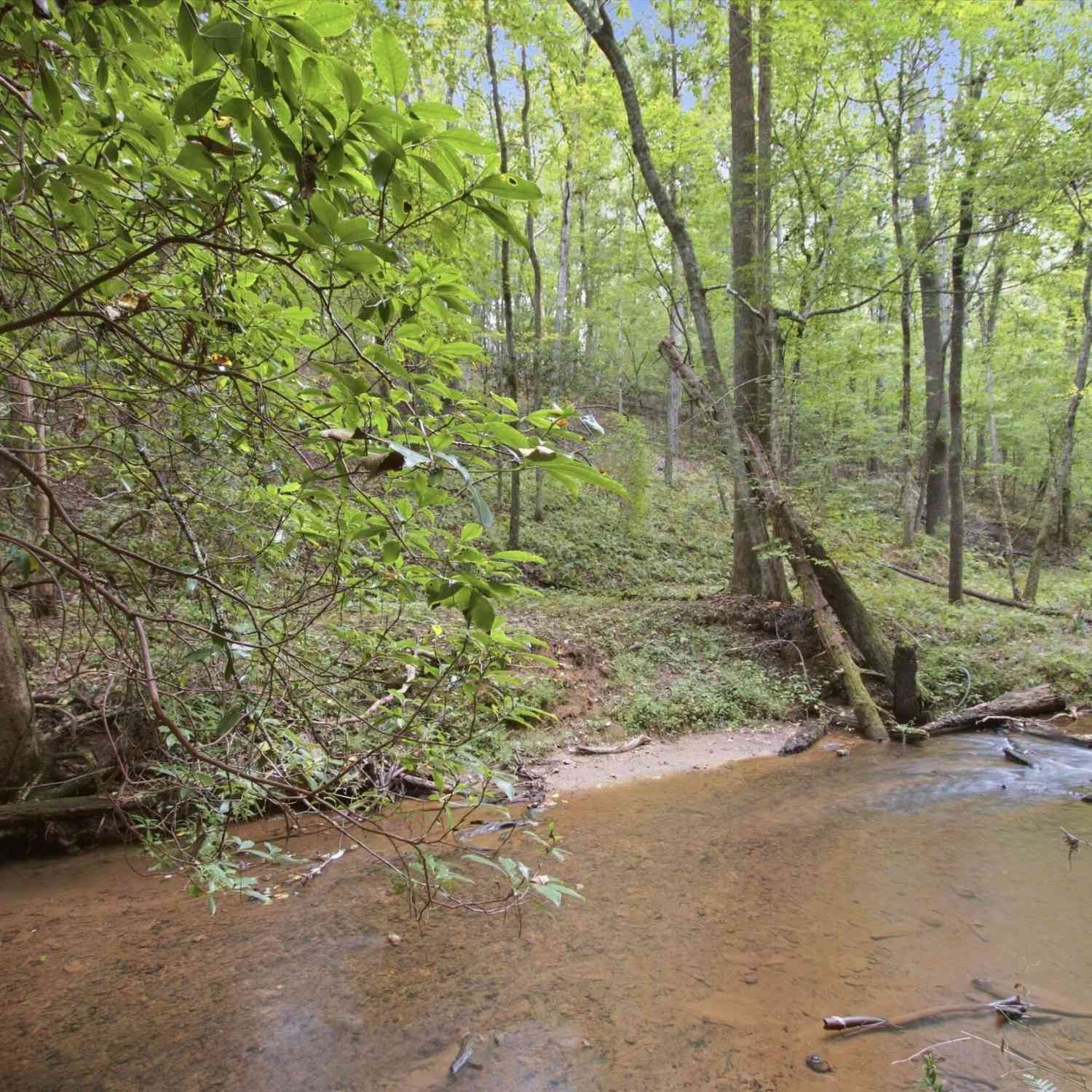 Vacant Land For Sale - 1582 Jennys Cove Road<br/> White County, Cleveland, GA 30528