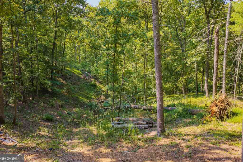 Vacant Land For Sale - LOT 344 Lower Knoll Court<br/> Gilmer County, Talking Rock, GA 30175