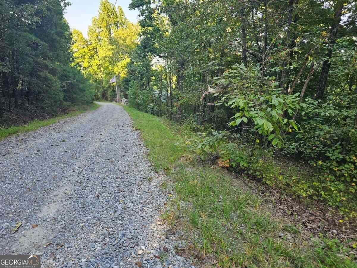 Vacant Land For Sale - 391 Meteor Court #391<br/> Gordon County, Ranger, GA 30734