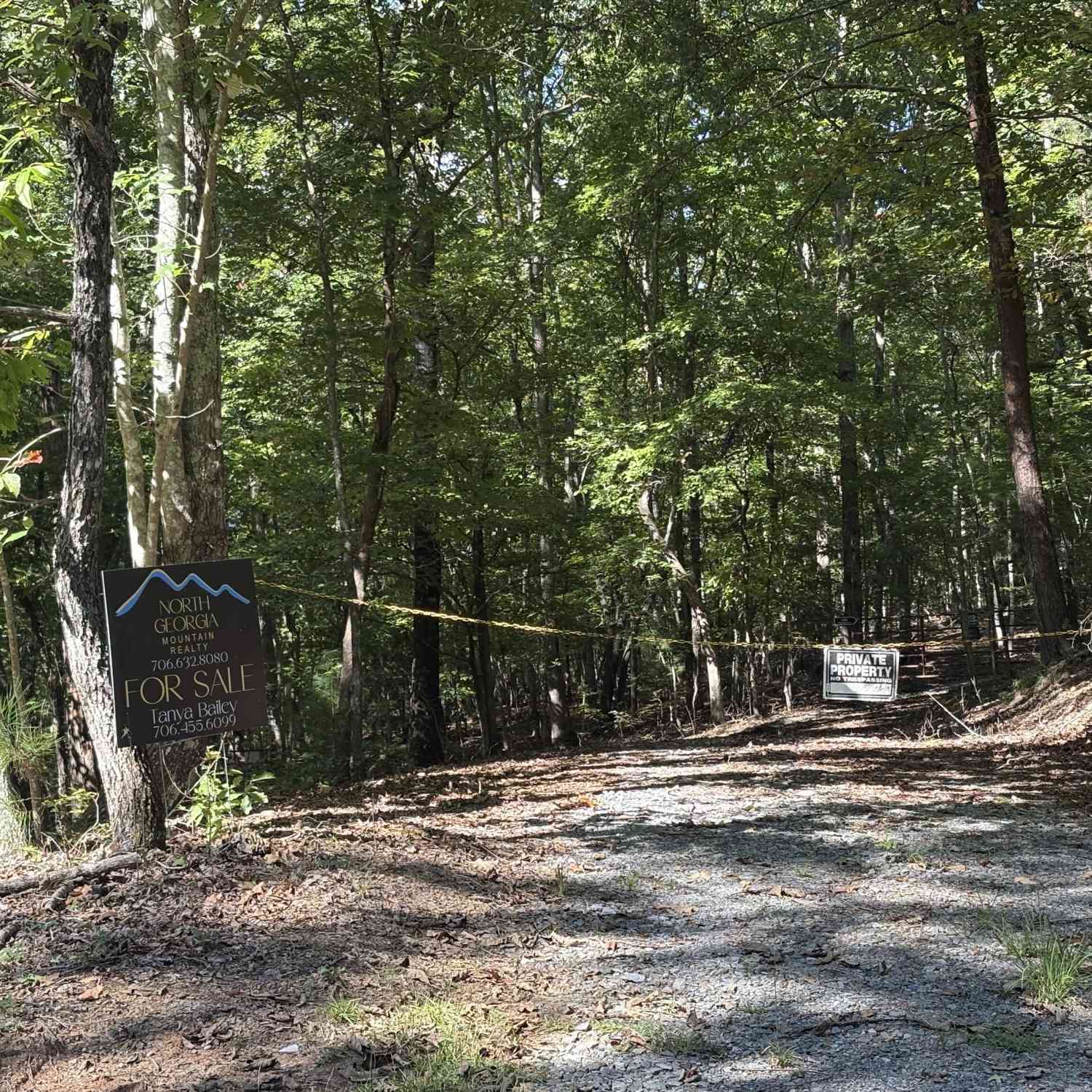 Vacant Land For Sale - 29B Hillstead Trace<br/> Gilmer County, Ellijay, GA 30540